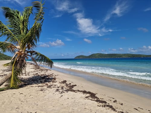 Autori app used in a 360° photography project in Puerto Rico