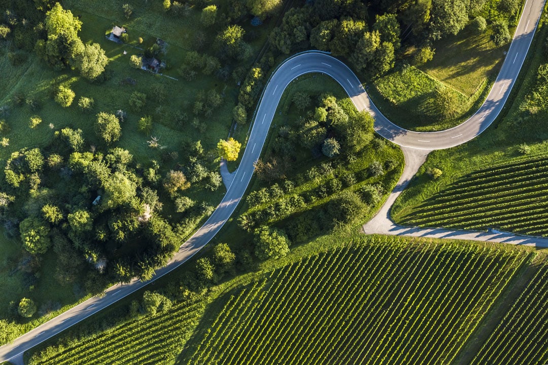 Urban and Landscape planning